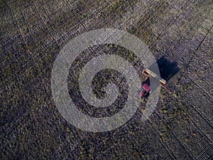 Tractor y maquinaria agricola , sembrando, photo