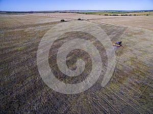 Tractor y maquinaria agricola , sembrando, photo