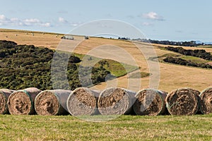 Tractors harvesting hay