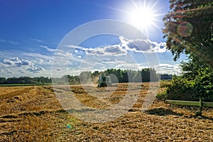 Tractors and harvesting - vintage