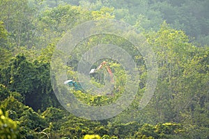 Tractors and loggers in the forest on the mountain