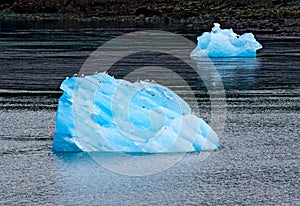 Tracy Arm Fjord Iceberg photo