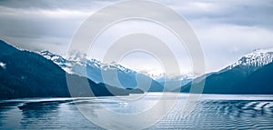 Tracy arm fjord scenery in june in alaska