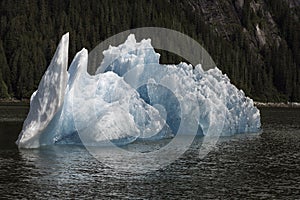 Tracy Arm Iceberg