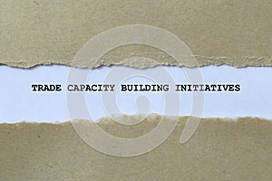 trade capacity building initiatives on white paper