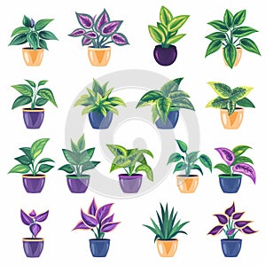 Tradescantia (Tradescantia virginiana), Pot Plant Flat Icon Set, Tradescantia Plant Flat Design