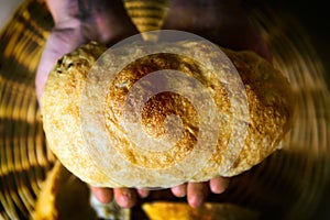 Tradiional Italian ciabatta bread on hands