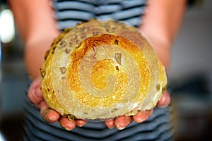 Tradiional Italian ciabatta bread on hands