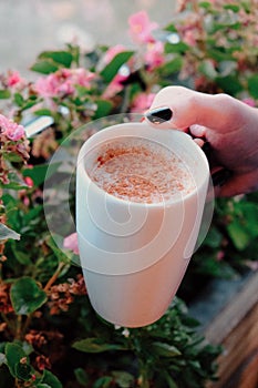 Traditinal Turkish drink, Sahlep, milky hot drink.