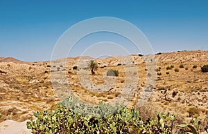 Traditioal Tunisia nature landscape