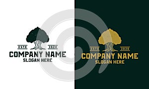 Hand drawn Oak tree logo design template