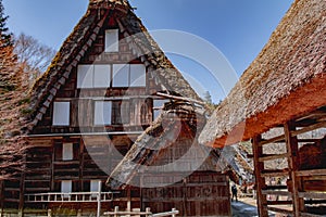 Tradition Japanese thatched homes in Shirakawago