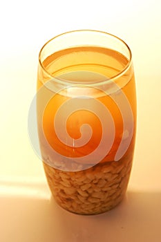 traditional Chilean drink Mote con Huesillo, made of dried peaches (huesillo photo