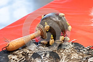 Traditional African percussion instrument shekere