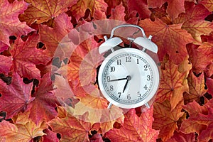 Traditional alarm clock on a background of orange and yellow maple leaves, fall time change concept