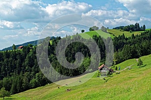 Traditional Alp in pre-alpine German landscape summer season nature