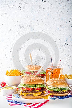 Traditional American Picnic with burgers