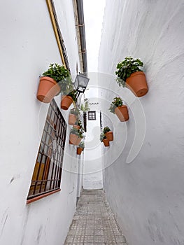 Traditional Andalucian architecture in the historical city of Cordoba, Spain