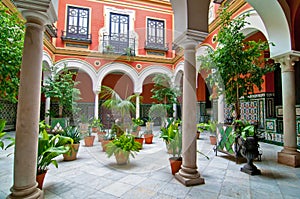 Traditional andalusian patio