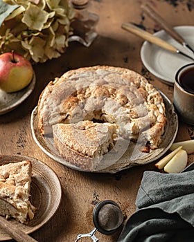 Traditional apple pie charlotte sprinkled with cinnamon on wooden background. Tea time with apple dessert, autumn moody