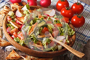 Traditional Arabic fattoush salad close-up on a plate. horizontal