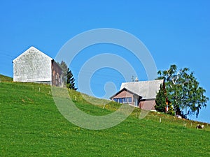 Traditional architecture and farmhouses on the slopes of the Alpstein massif and in the Rhine valley Rheintal, Gams