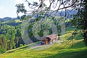 Traditional architecture and farmhouses on the slopes of the Alpstein massif and in the Rhine valley Rheintal, Gams