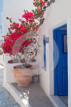 Traditional architecture of Oia village on Santorini island