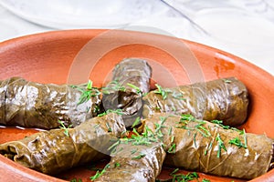 Traditional Armenian dolma (tolma) photo