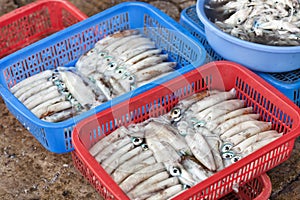 Traditional asian fish market