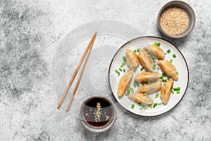 Traditional asian fried dumplings gyoza with green onion and soy sauce. Gray concrete grunge background. Top view, flat