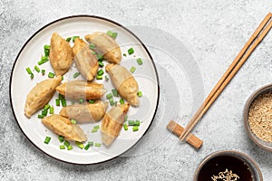 Traditional asian fried dumplings gyoza with green onion and soy sauce. Gray concrete grunge background. Top view, flat