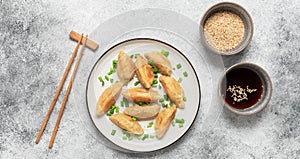 Traditional asian fried dumplings gyoza with green onion and soy sauce. Gray concrete grunge background. Top view, flat lay,