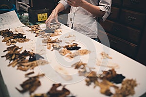 Traditional Asian herbal medicine practitioner filling with ingredients for treatment