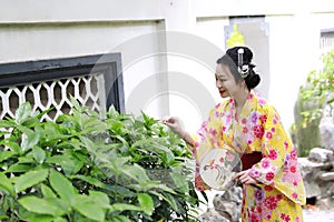 Traditional Asian Japanese beautiful woman wears kimono with fan on hand smiling playing on outdoor spring garden
