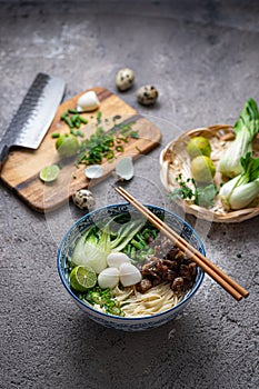 Traditional asian noodle soup with bok choi and chicken in ceramic bowl.