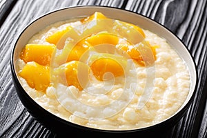 Traditional asian tapioca pudding with coconut milk and fresh mango close-up in a bowl. horizontal