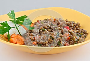 Traditional Asian vegetarian lentil food