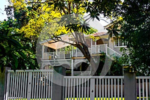 Traditional Australian Queenslander House with tropical foliage and wood and stairs