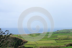 Azorean green fields bordered by stone walls, overlooking the Atlantic Ocean. photo