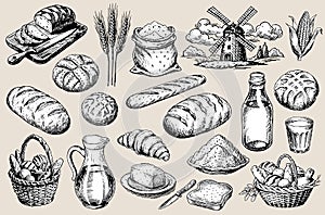 Traditional bakery items meticulously illustrated in a retro hand-drawn style