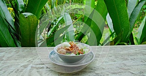 Traditional balinese food mie bakso ayam served in bowl. Plate with tasty dish of indonesian national Meatball Chicken