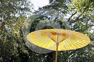 Traditional bamboo umbrella on nature green background
