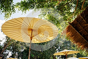 Traditional bamboo umbrella on nature green background