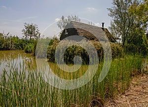 Traditional barraca cottage and rice fields