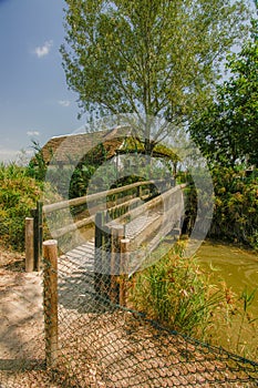 Traditional barraca cottage and rice fields