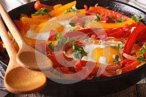 Traditional Basque piperade with eggs close-up. horizontal