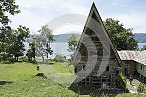 Traditional Batak house, Lake Toba, Sumatra