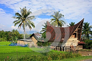 Tradiční dům na ostrov, indonésie 