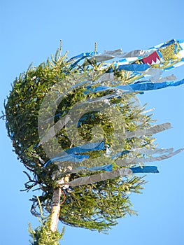 Traditional bavarian Kirchweihbaum with blue and white ribbons photo